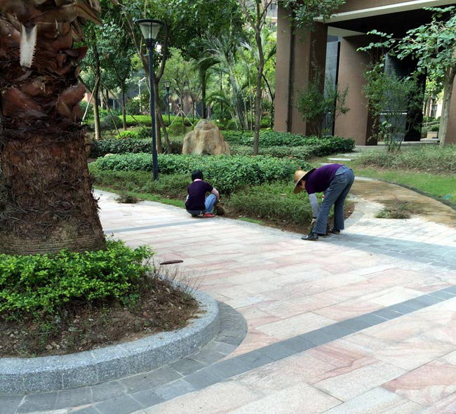公園綠化養護 公園綠化養護