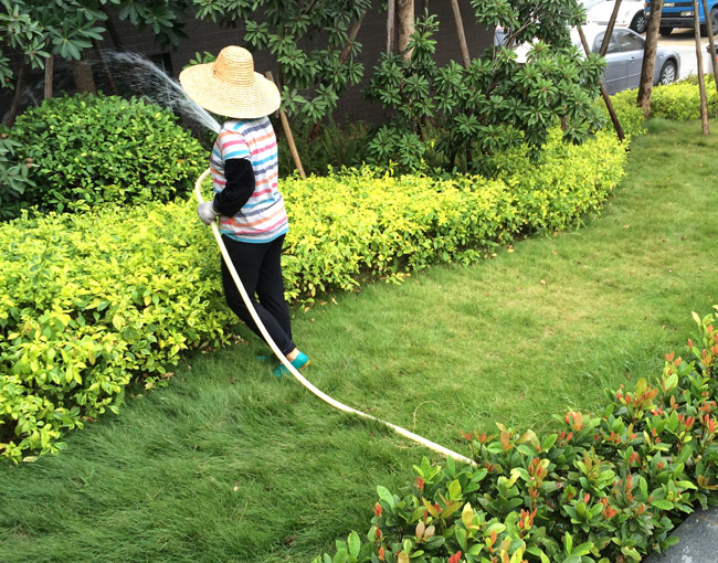 街道綠化養(yǎng)護(hù) 街道綠化養(yǎng)護(hù)